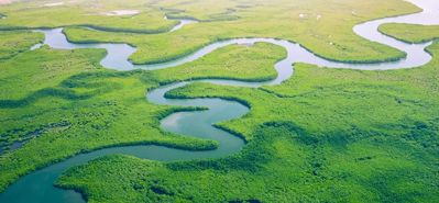 Revoluční zemědělské zavlažování: Role PVC trubek a armatur